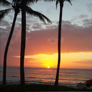 Meet your Posher, Torie